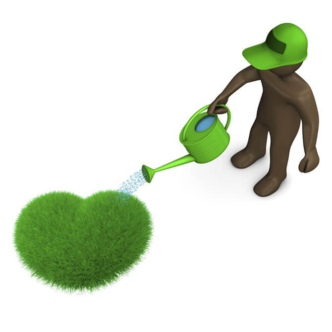 Watering grass seed